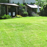 front garden (Silos apartment on the left)
