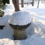 winter surprise ...