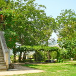 downstairs garden