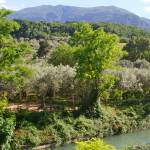 the canal with the National Park on the back