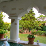 Terrace view