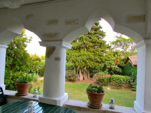 Terrace view