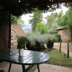 the view on the rock garden outside