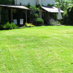 front garden (on the left the Silos apartment)