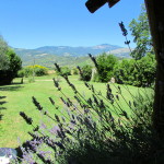 front garden with thw view on the National Parks