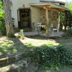 patio and front garden