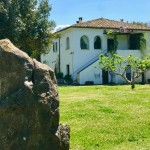 view from gardens