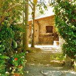 side yard with old wood oven