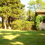 main garden and the cottage on the back