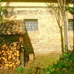 back garden with woodshed