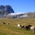 Campo imperatore