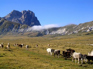 Campo imperatore