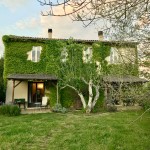 old fig tree & shared garden with Canale