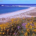 Vasto (Ch), Punta Penna