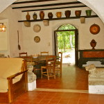 living room and sofabed