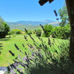 front garden with thw view on the National Parks