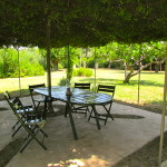 private garden for dinner