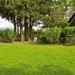 main garden and the cottage on the right