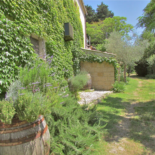 One-Bedroom Residence – 2 Beds (Standard)