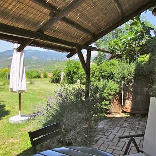 One-Bedroom Residence – 2 Beds (Standard)